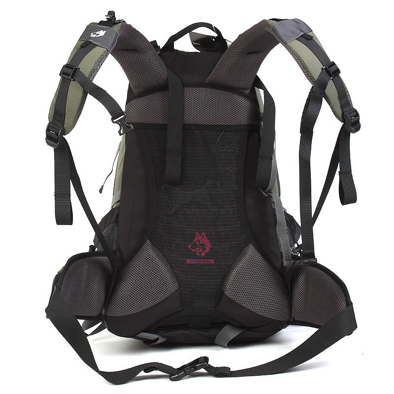 Hiking Nylon Rainproof Backpack